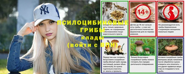 первитин Горнозаводск