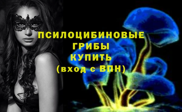 мет Гусь-Хрустальный
