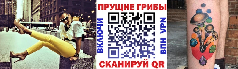 Купить закладки  Калачинск  Галлюциногенные грибы Psilocybe 