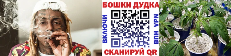 Купить  Калачинск  Бошки Шишки индика 